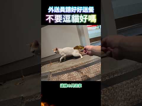 外送員請好好送餐，不要逗貓好嗎?｜UberEats外送｜熊貓外送｜邊緣的外送家  #ubereats #foodpanda #逗貓 #玩貓